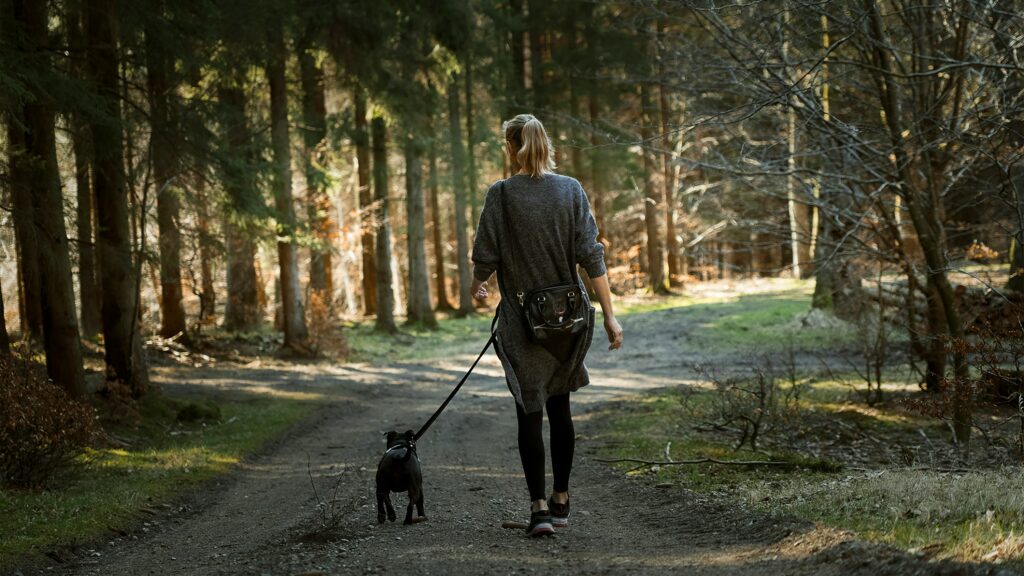 Dog walker with a client's pet, running a local home-based service business